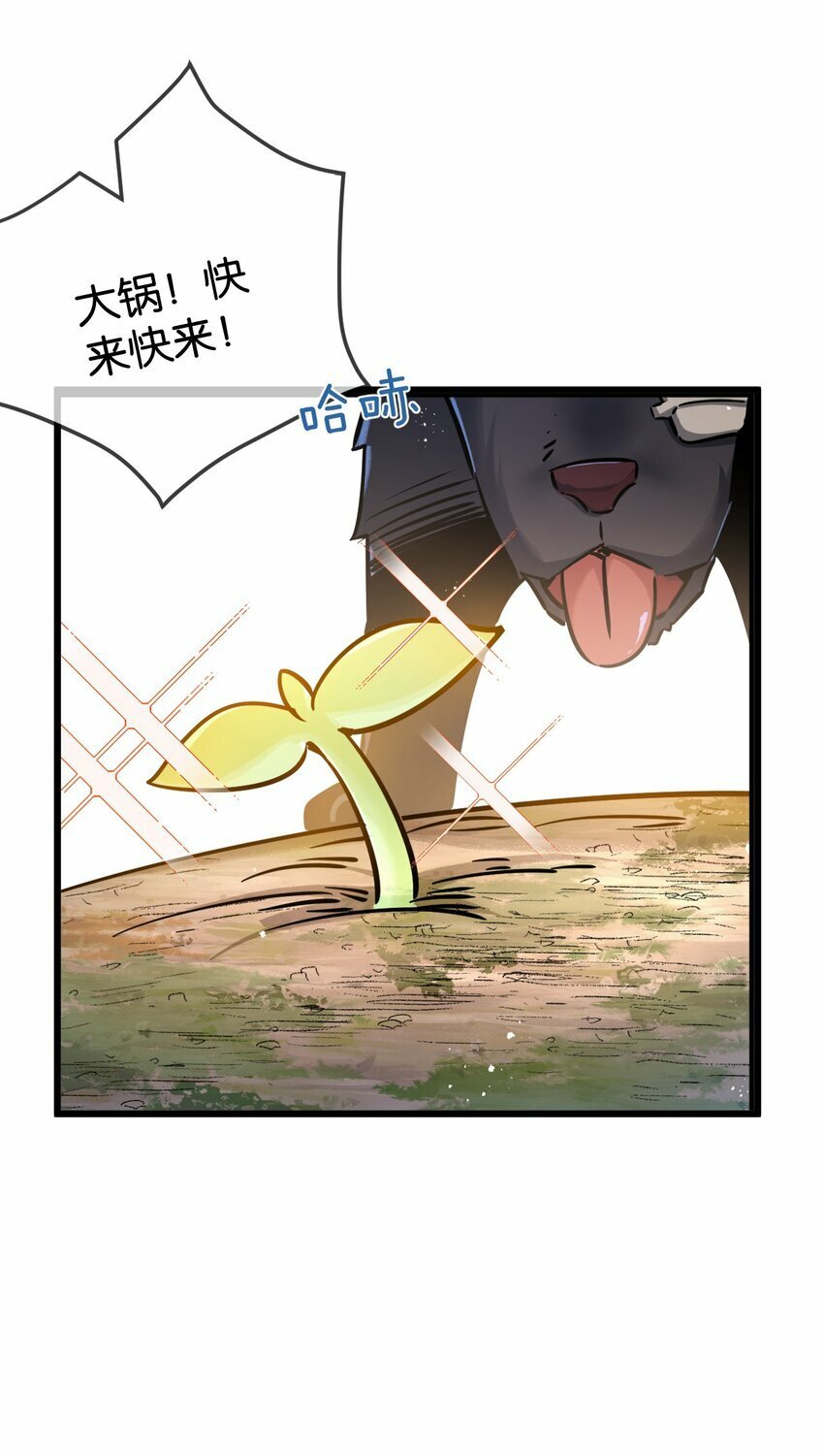 第5话 一顿代表丰收的晚餐6
