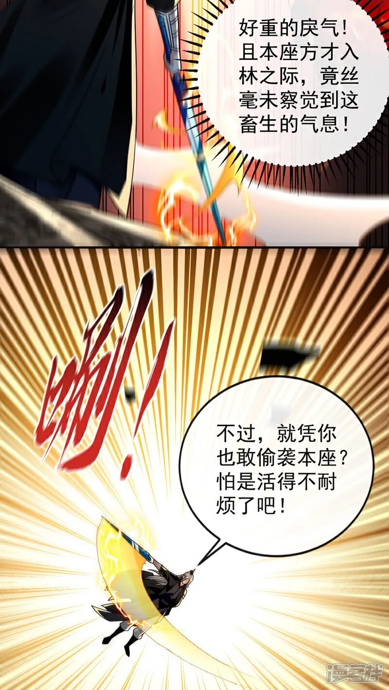 第311话 迷雾森林25