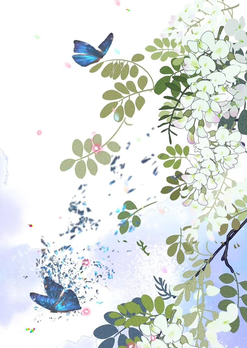 037 今天的花呢？44