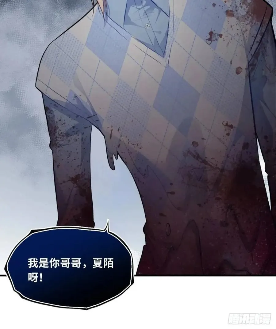 因果夙愿：3、哥哥来了19