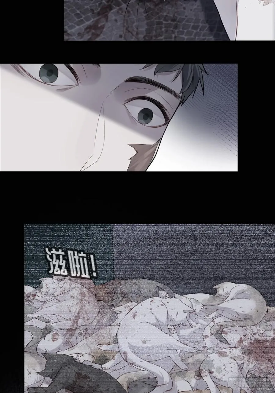 医院诡话：19、蛆虫的新生15
