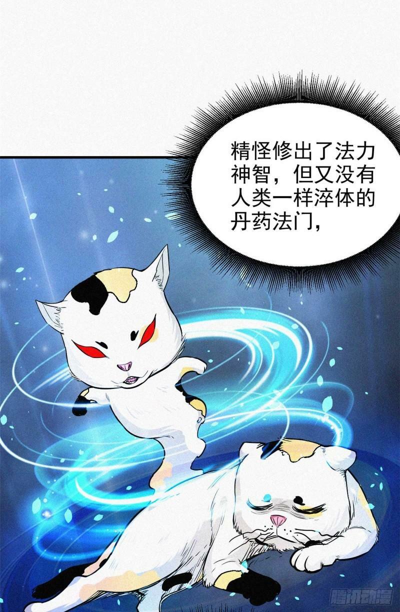 12 三花娘娘27