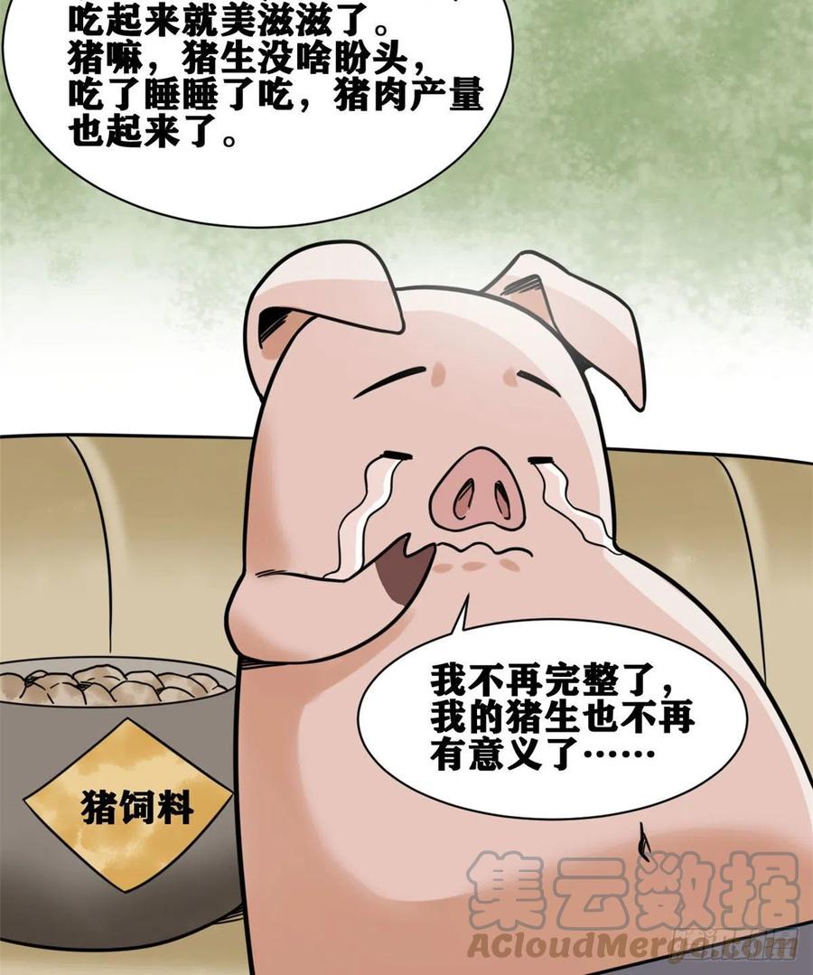135 改良猪肉品质21