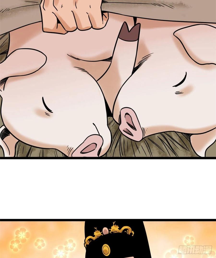 135 改良猪肉品质38