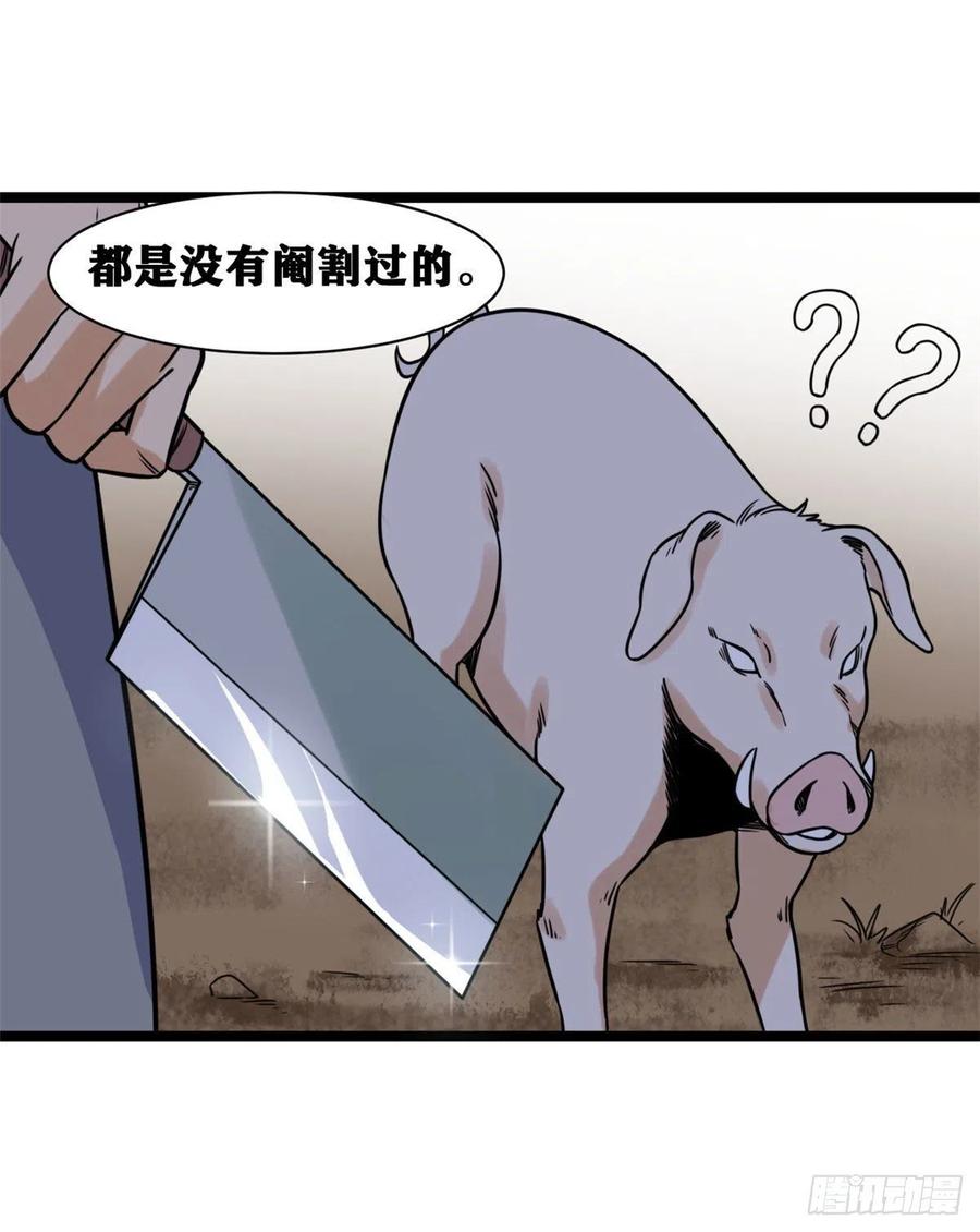 135 改良猪肉品质17
