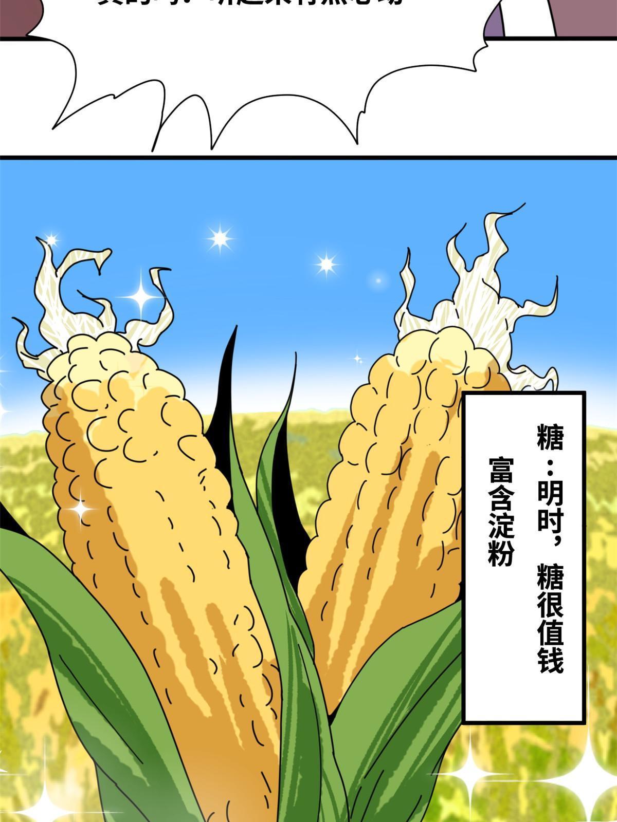 206 忽悠老外37