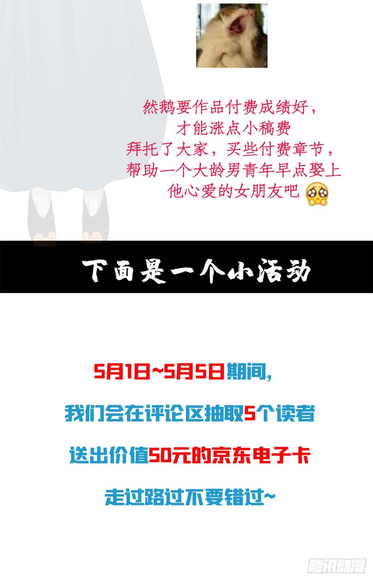 公告1