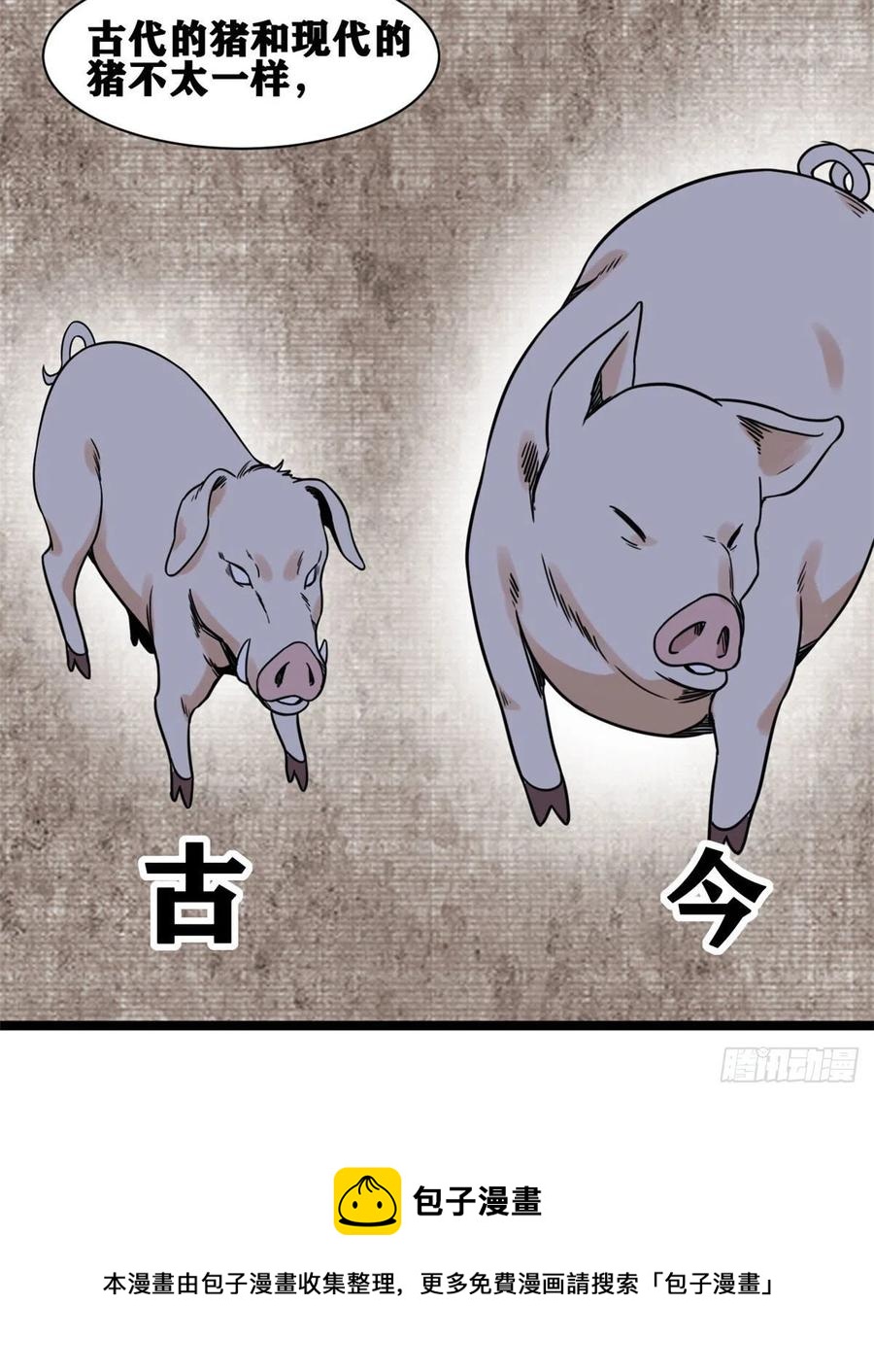 135 改良猪肉品质16