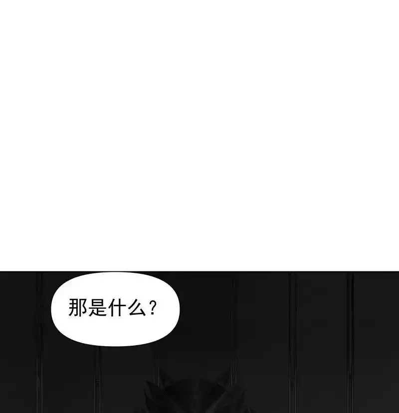 51 谜面41
