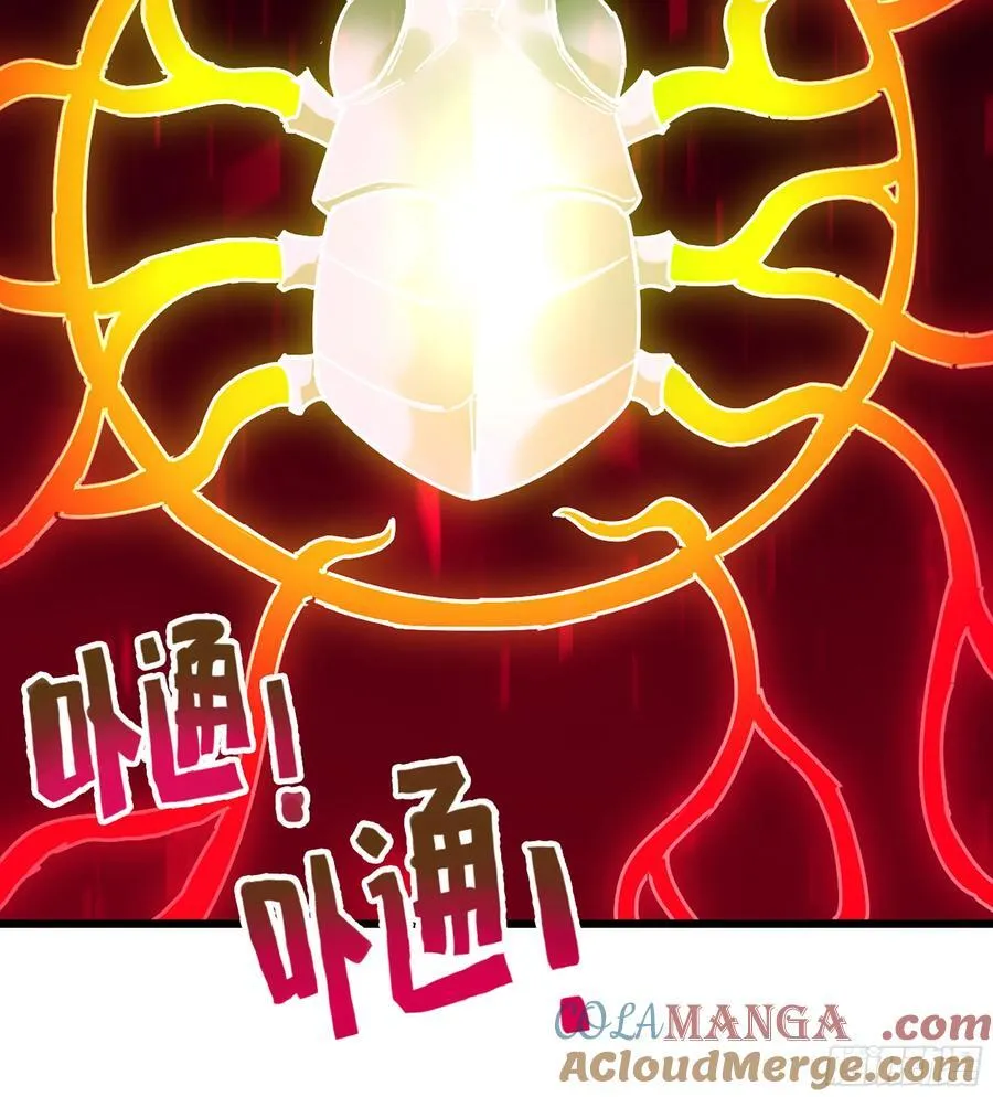 35- 两颗虫卵52