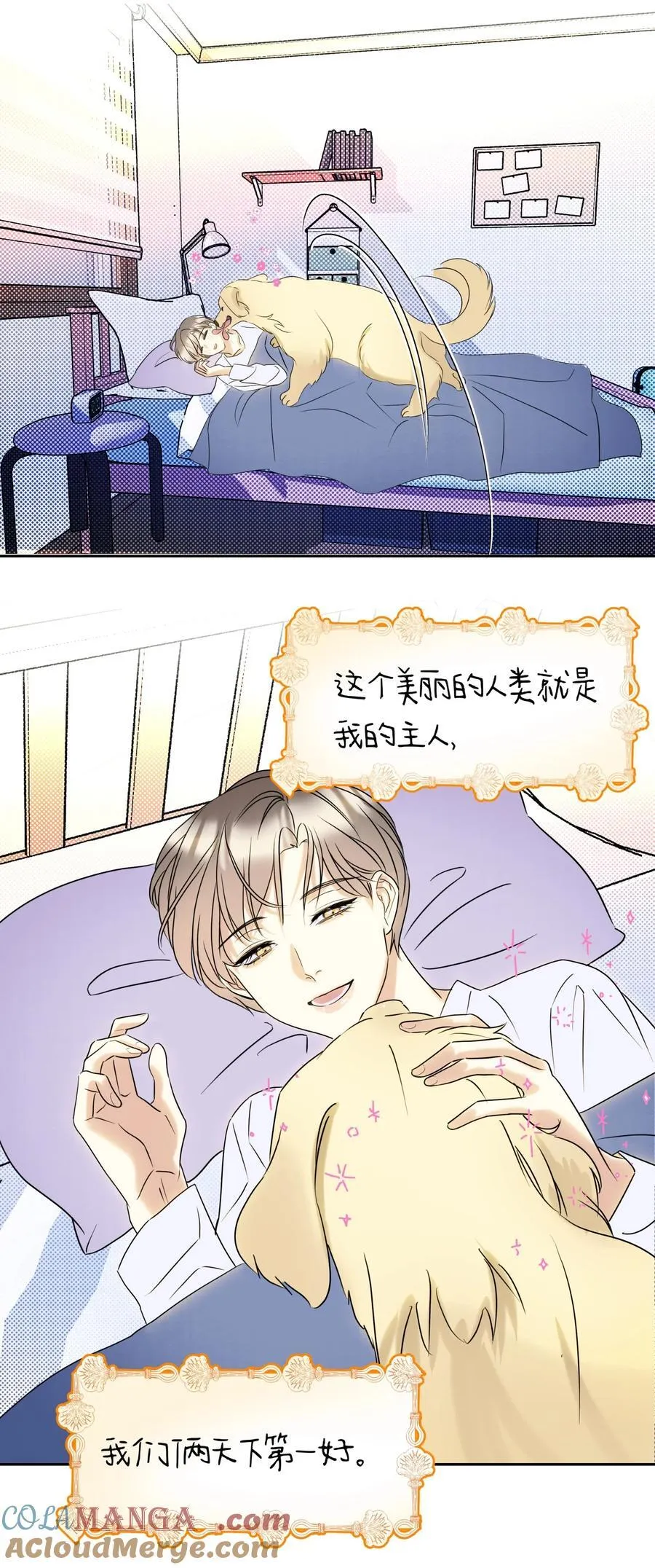 22 不是和好4