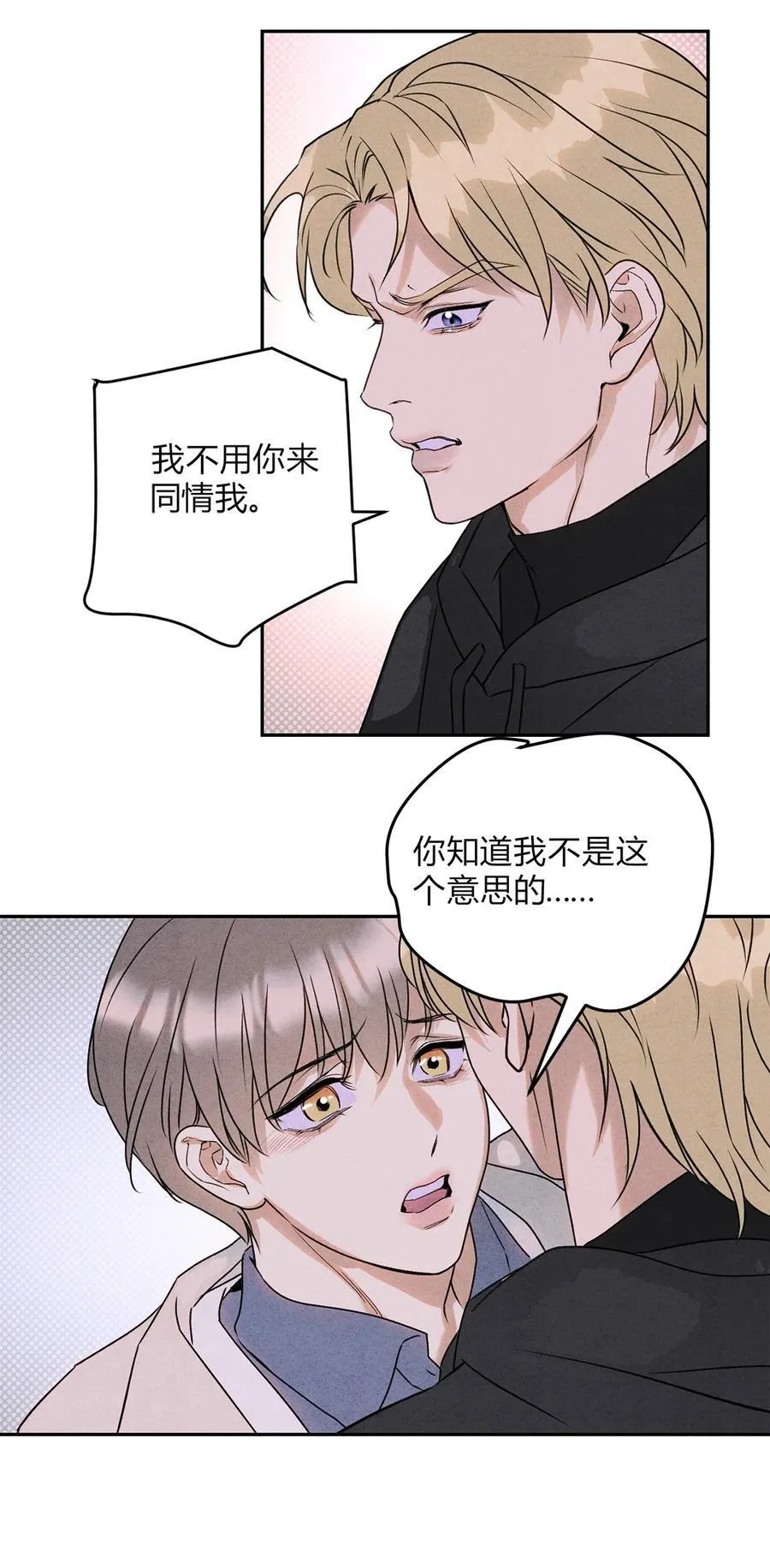 32 彼此的软肋21