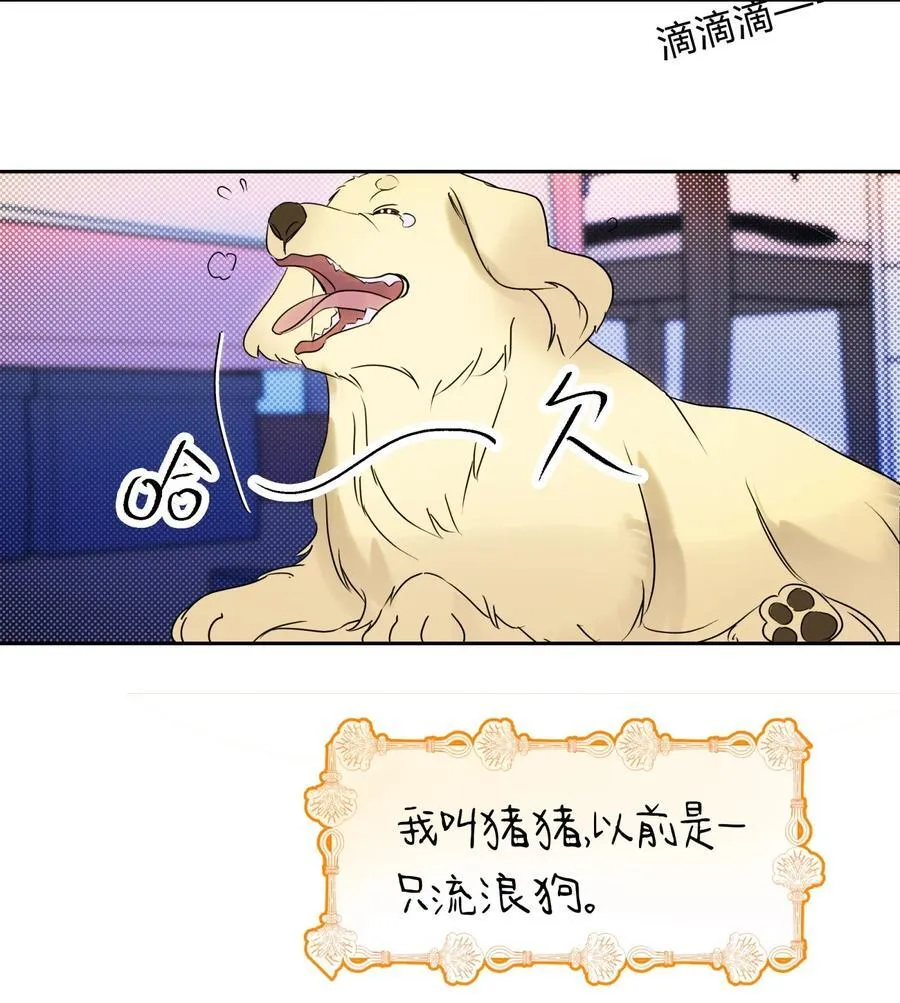 22 不是和好3