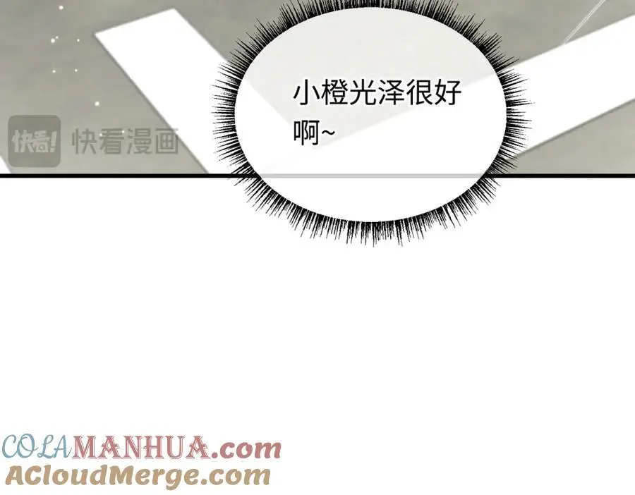 16 开车可以，但不可以飙车16