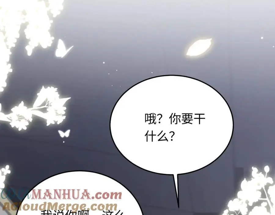 16 开车可以，但不可以飙车28