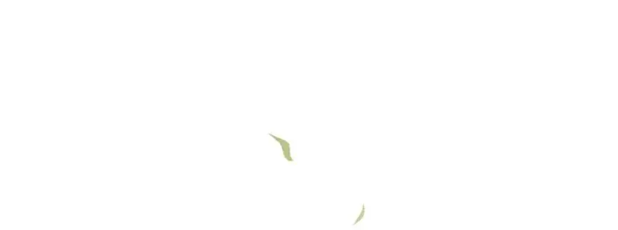 14 别让那丫头抢了宠爱82