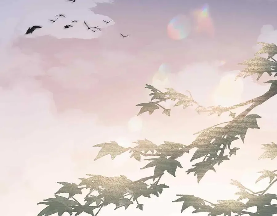 番外 飞天猫（3）1