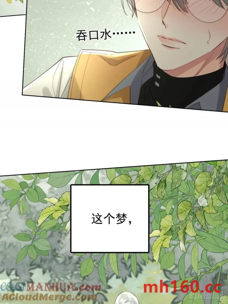 第四十话（下） 梦醒24