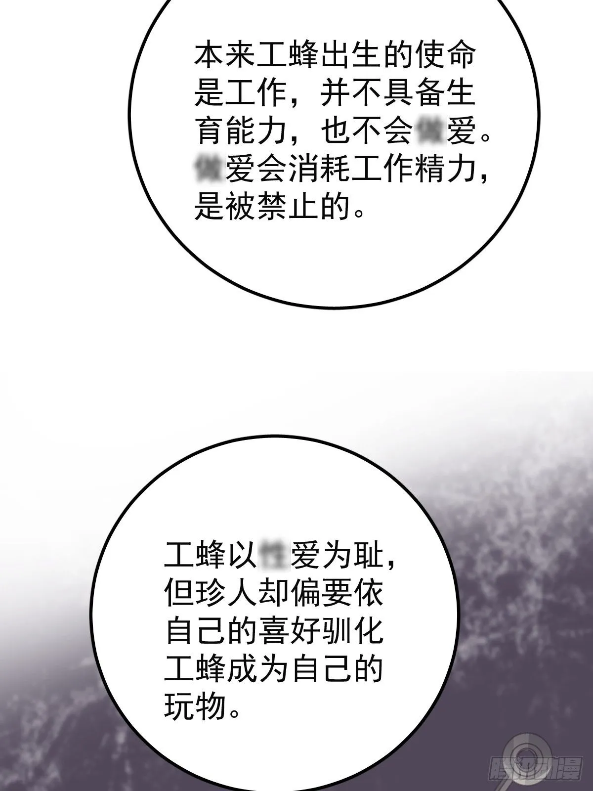 第二十话  给我16
