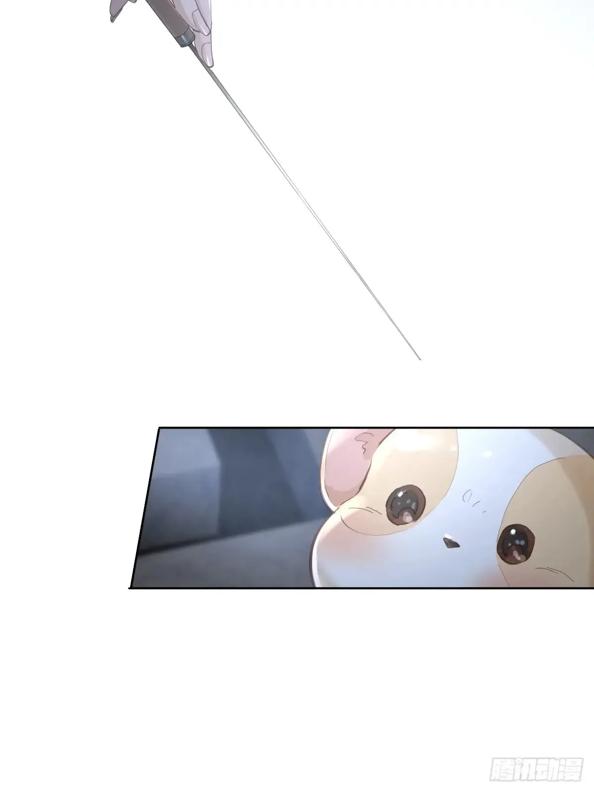 第四十二话  输了9