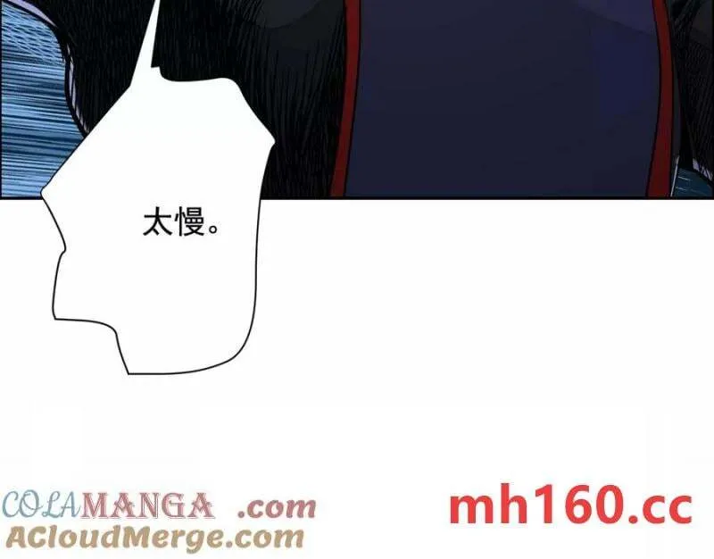 猛虎24