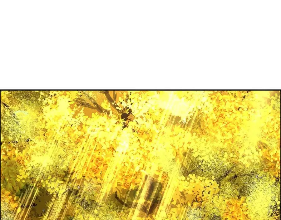 愿望123