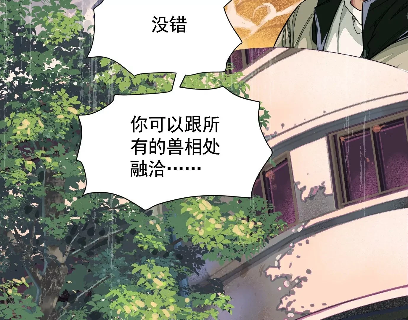 迷雾规则15