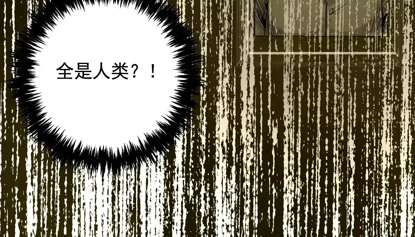覆盘113