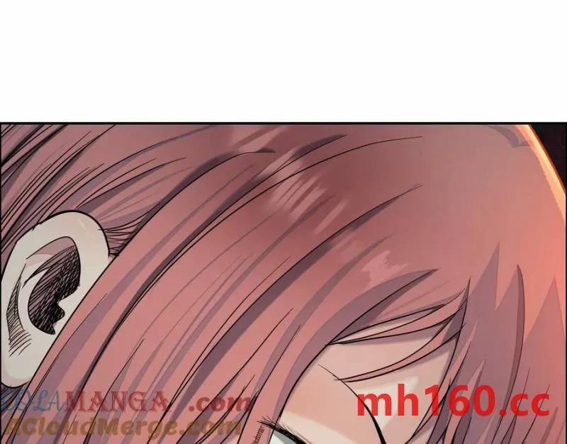 猛虎28