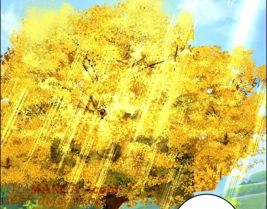 愿望152