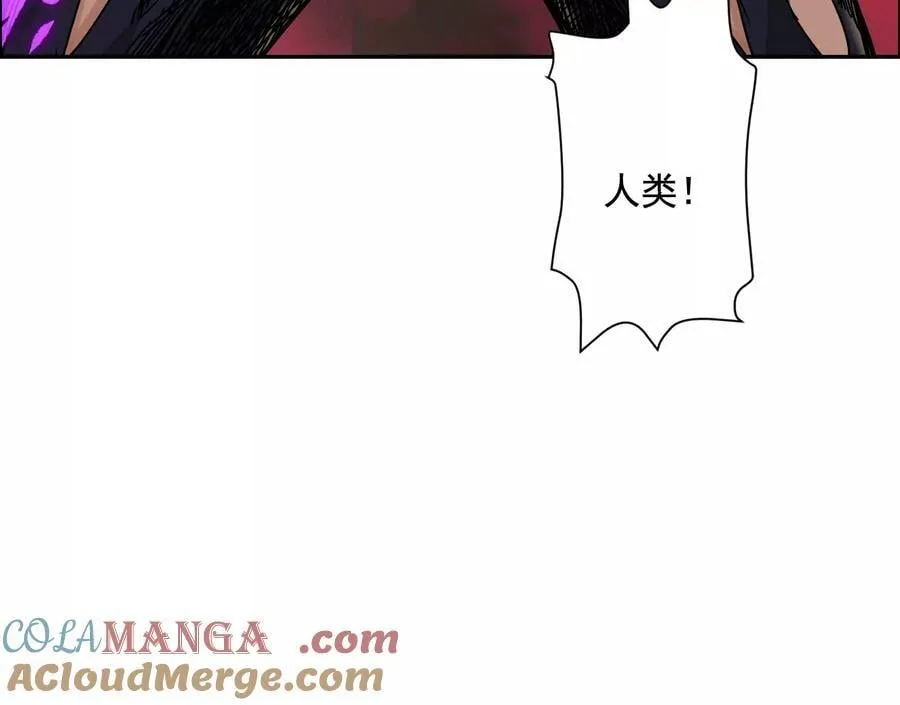 愿望24