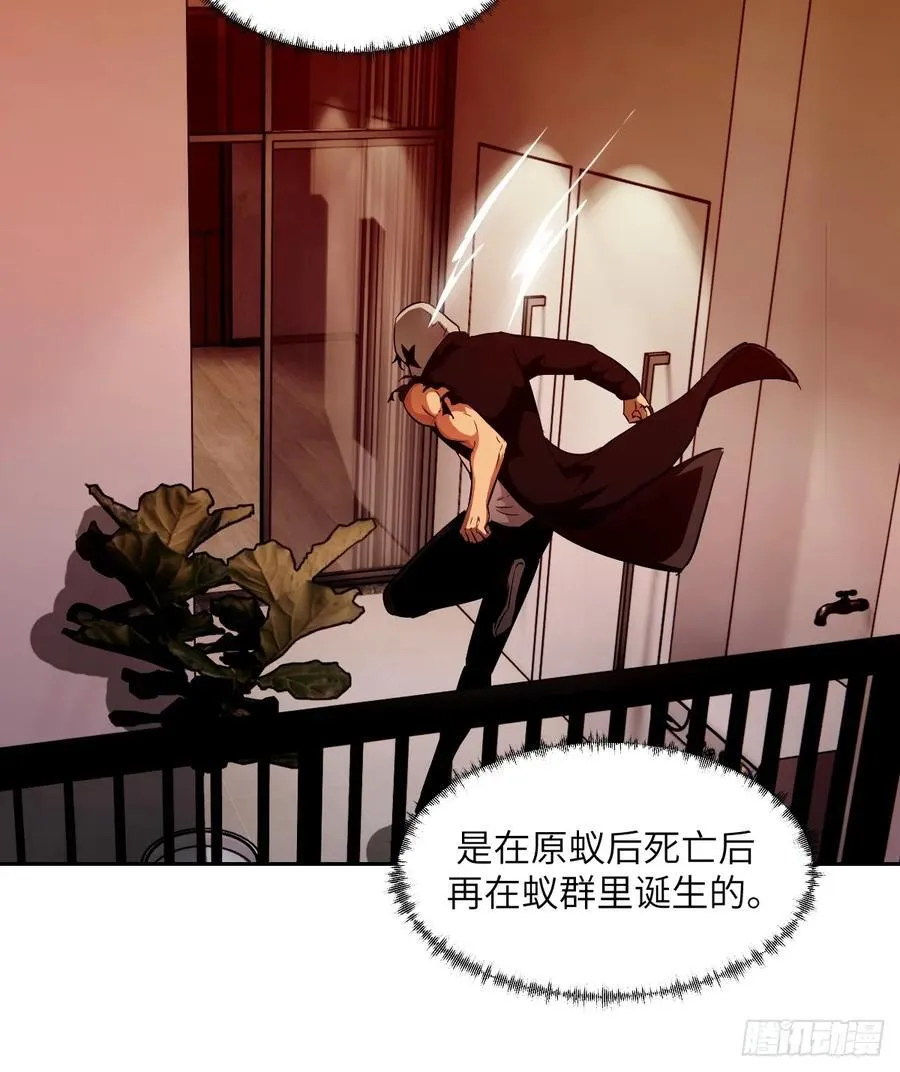 051 新的王！59