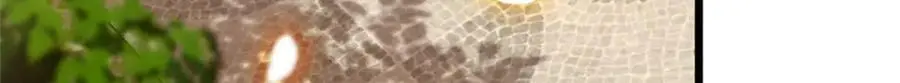34 不许歧视女性105