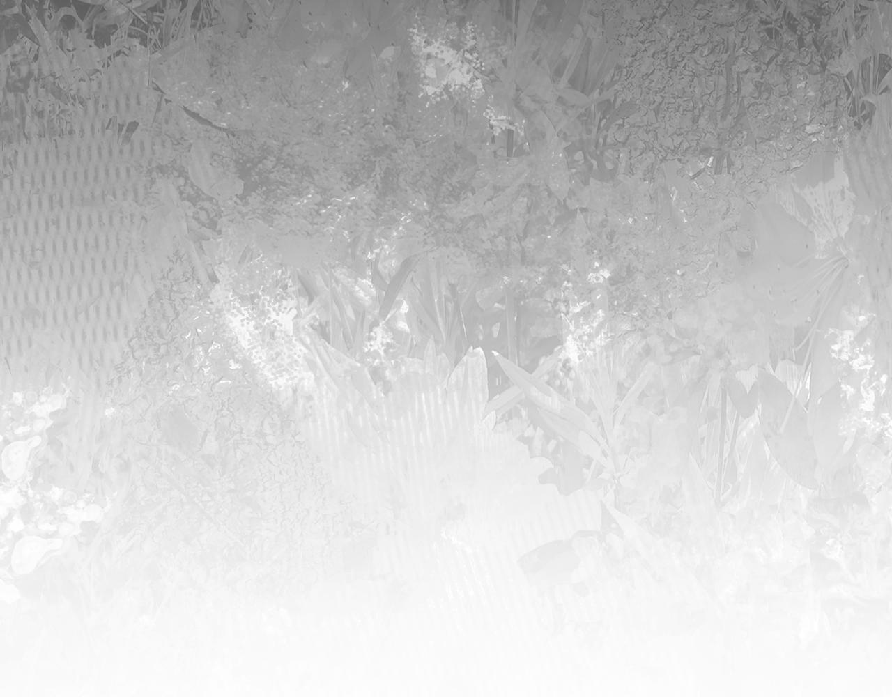 第21话 年少的初遇98