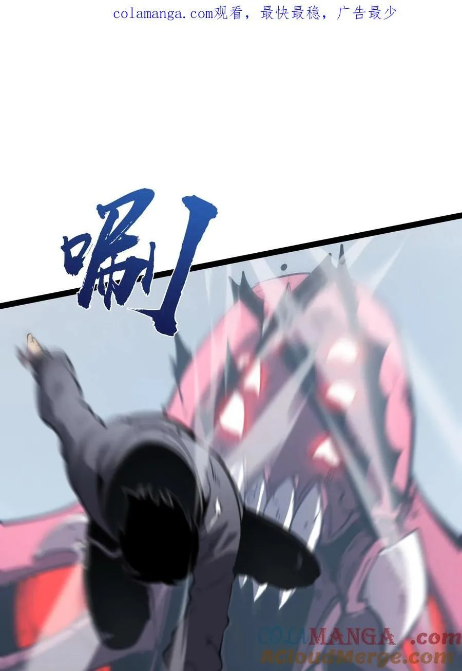 14 获得稀有卡牌！0