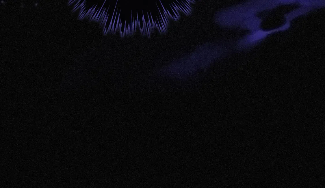 09 信息素压制110