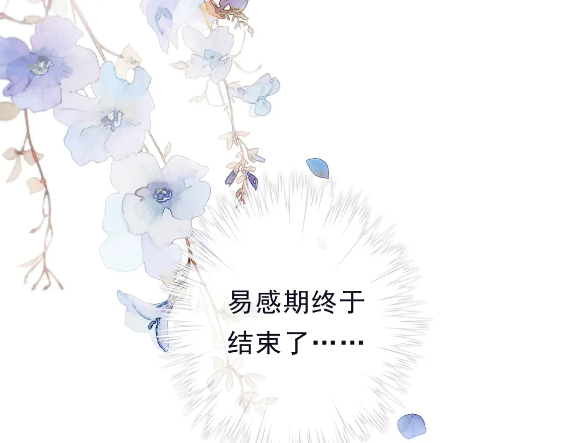 第13话 金色的小鸟1