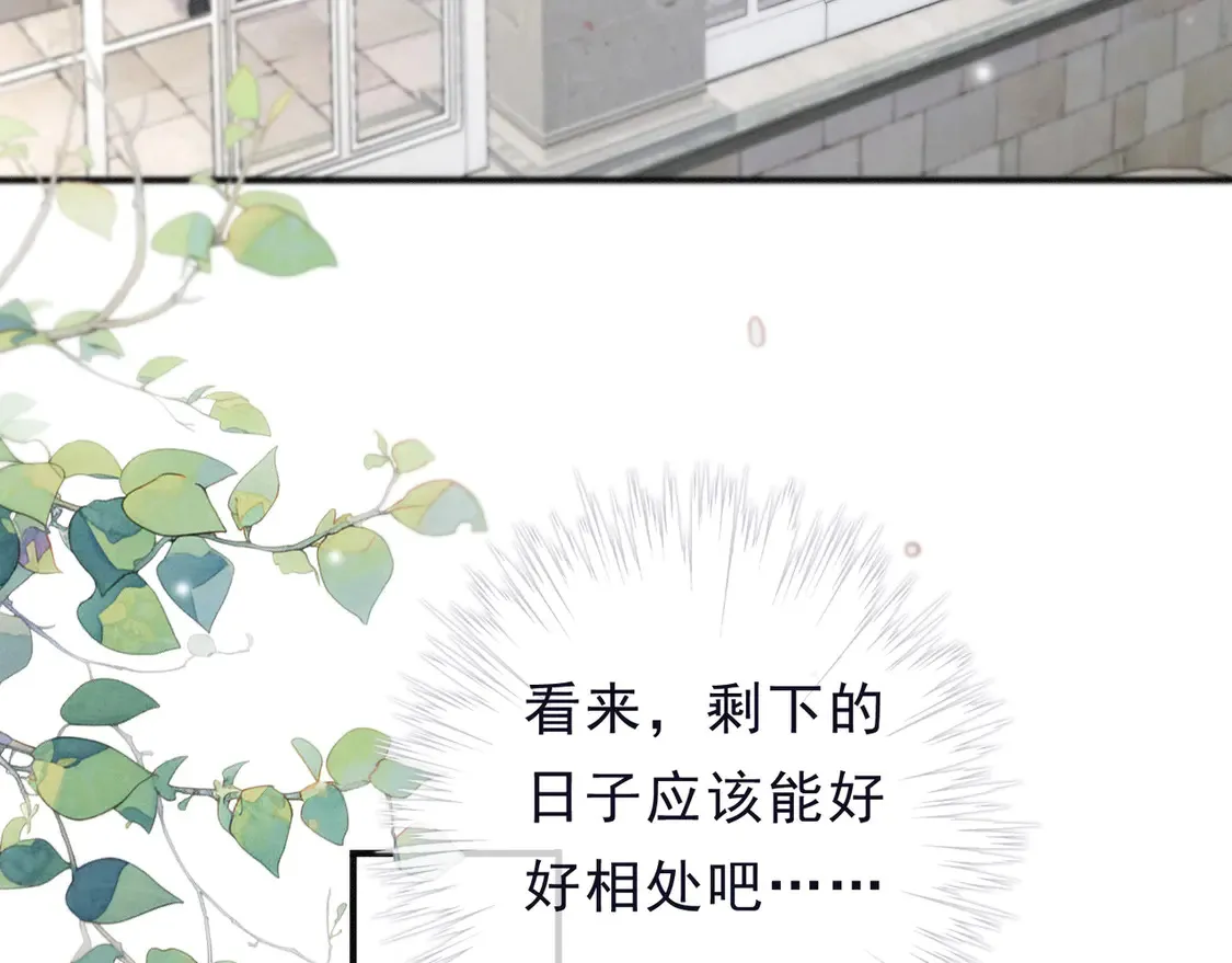 第13话 金色的小鸟29