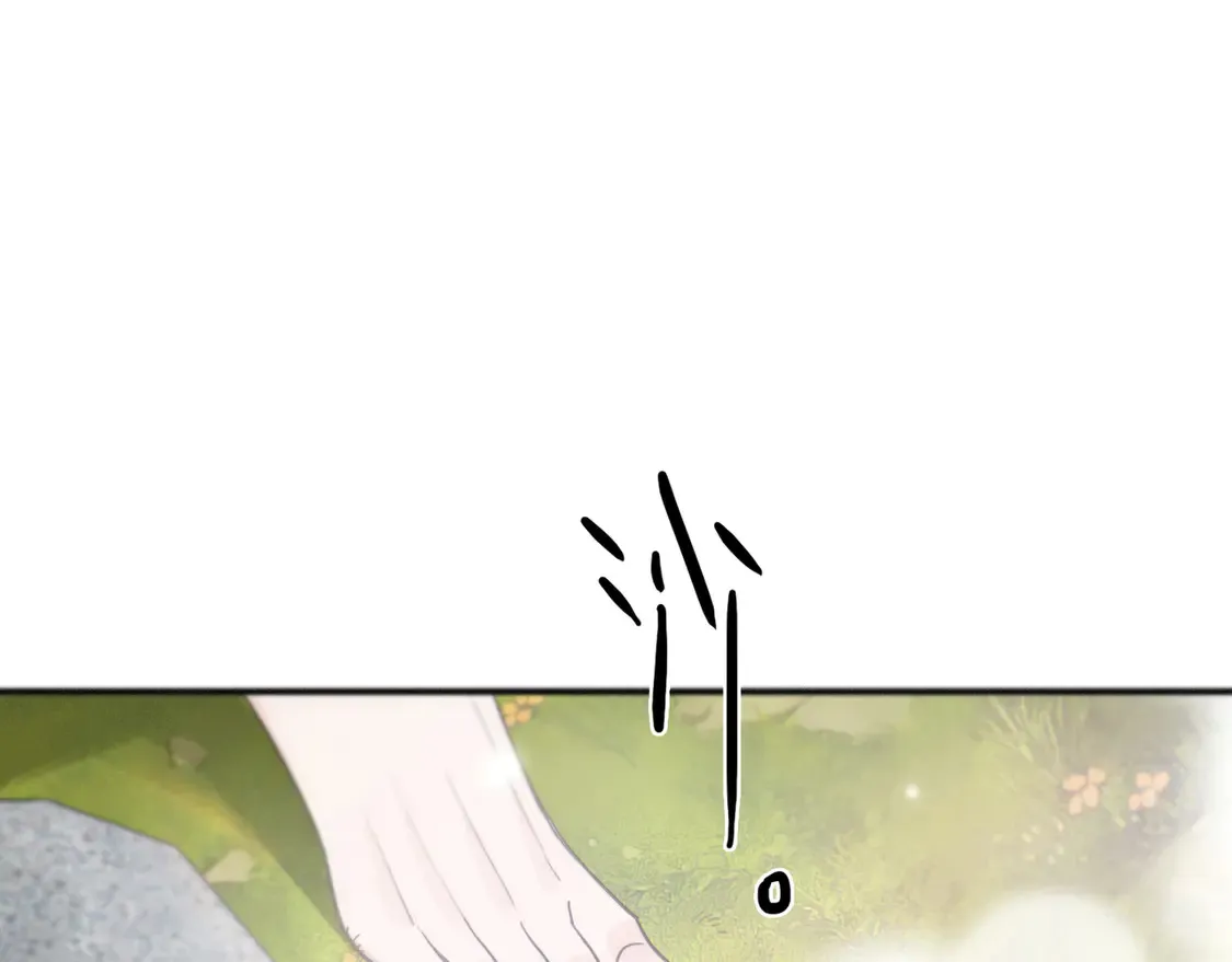 第13话 金色的小鸟66