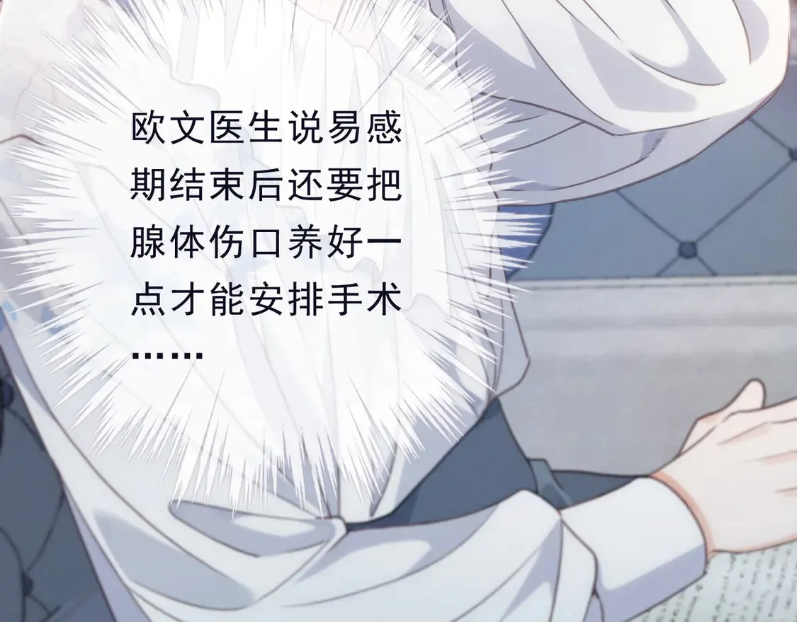 第13话 金色的小鸟10