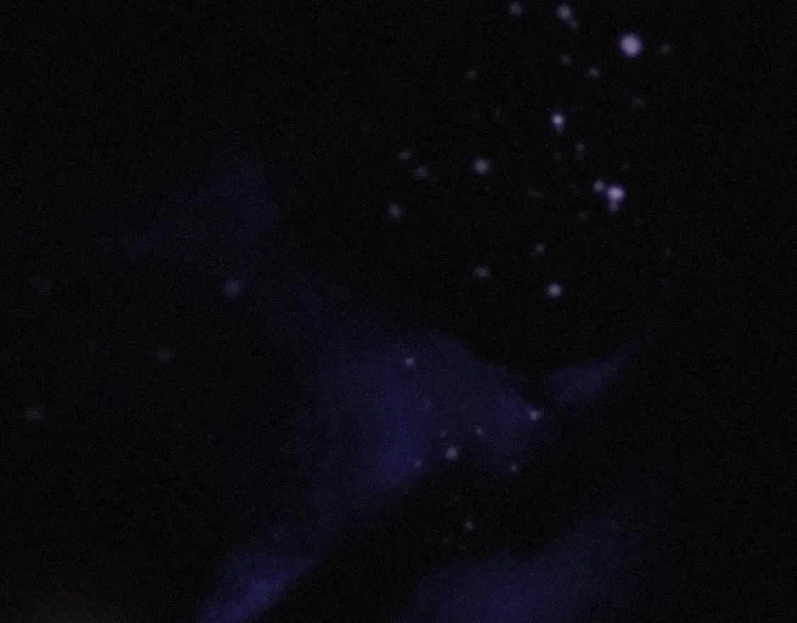 10 失控31