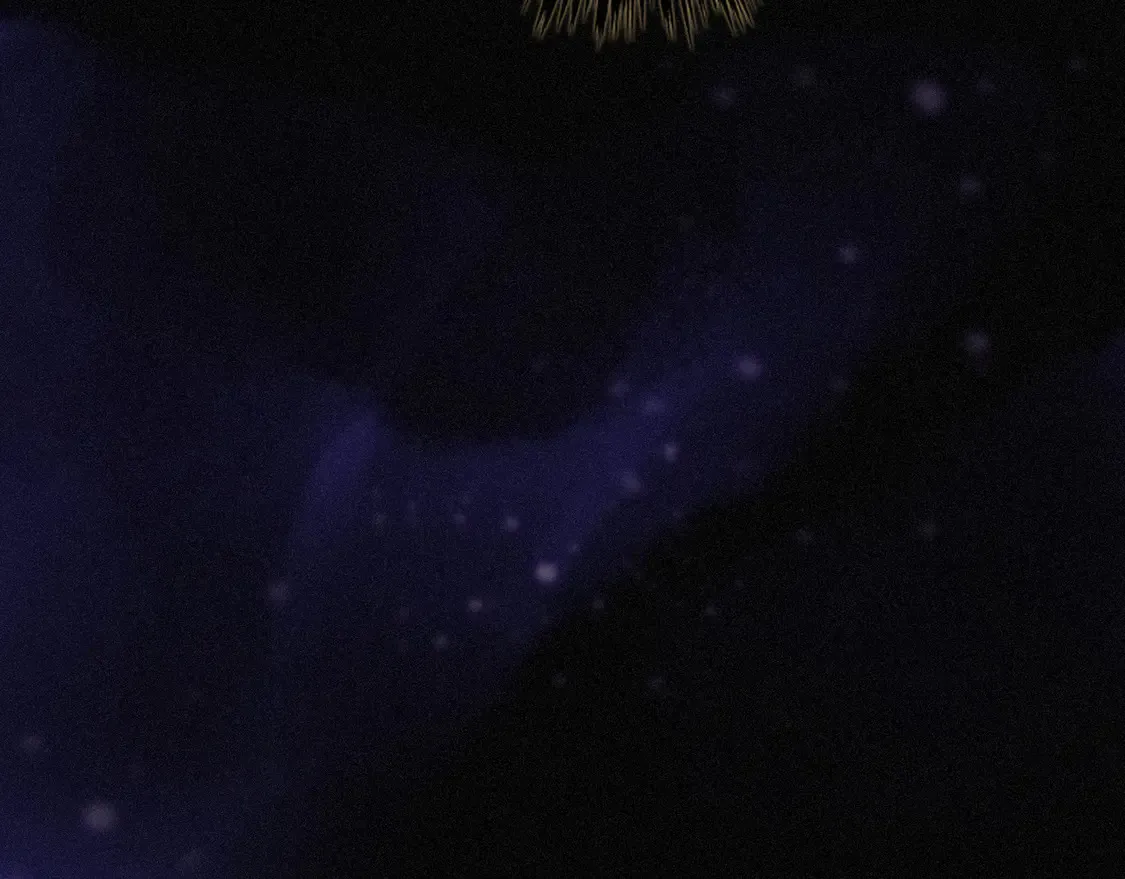 10 失控10