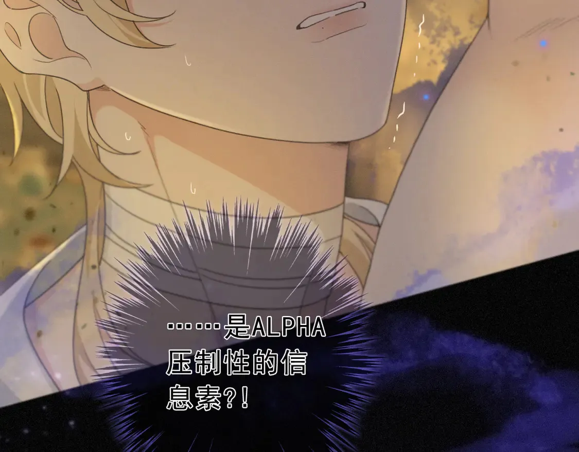 09 信息素压制109