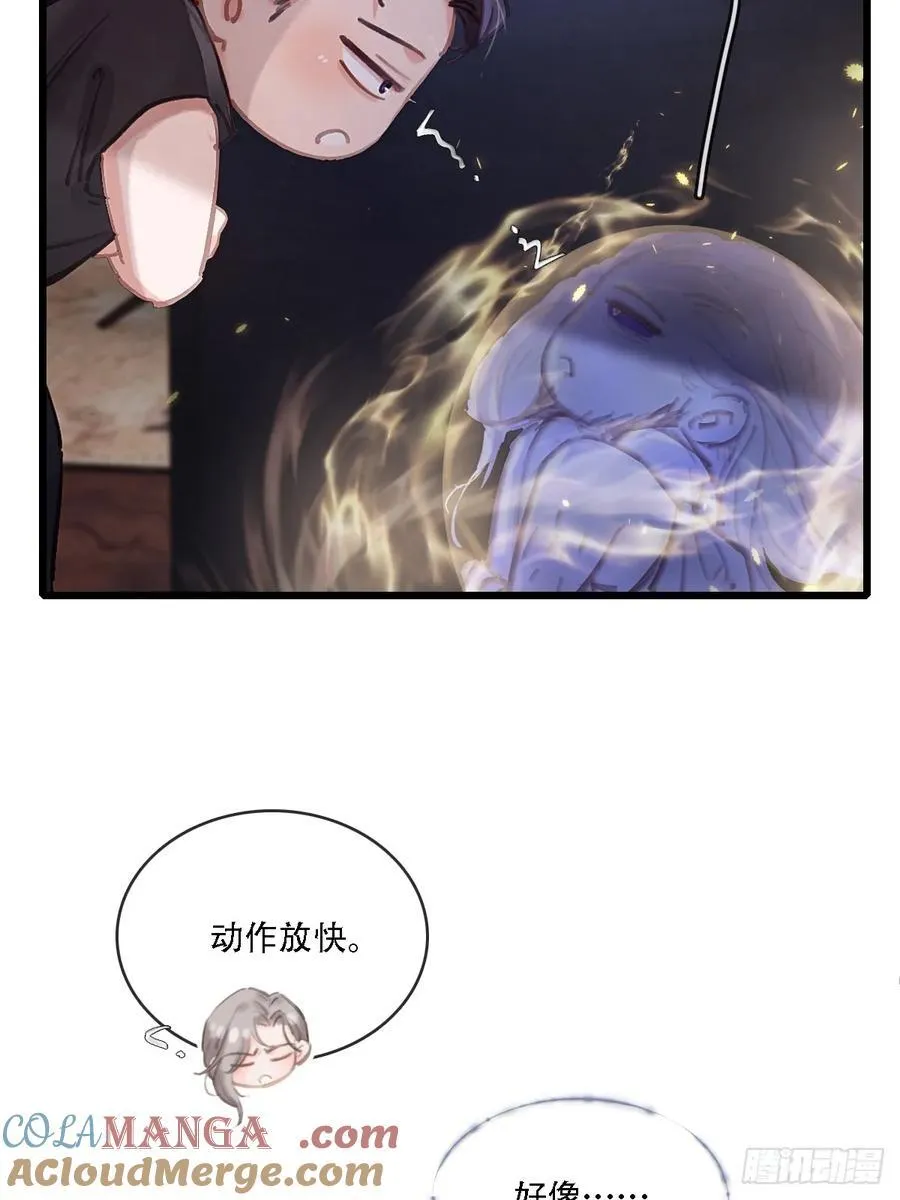 11.我的牡丹花42