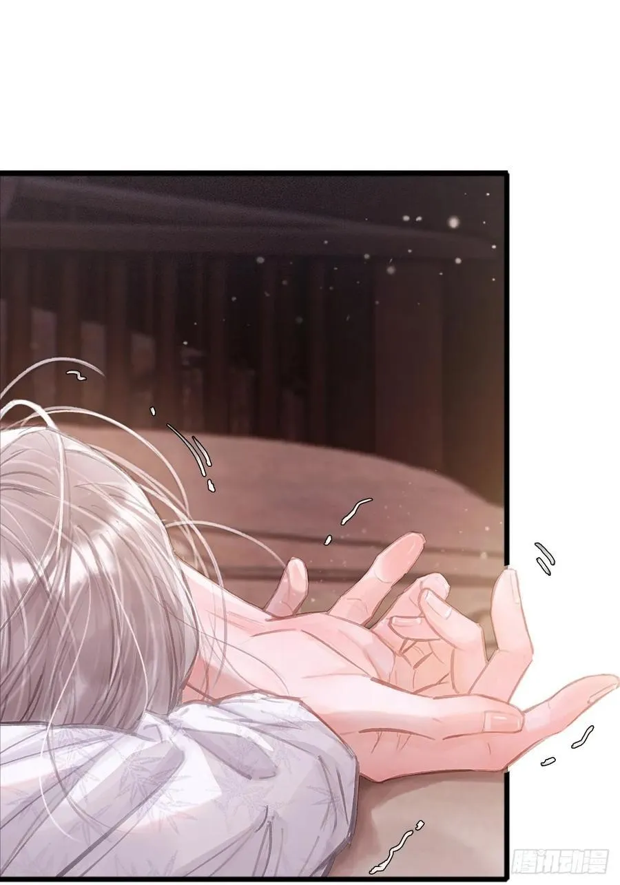 11.我的牡丹花5