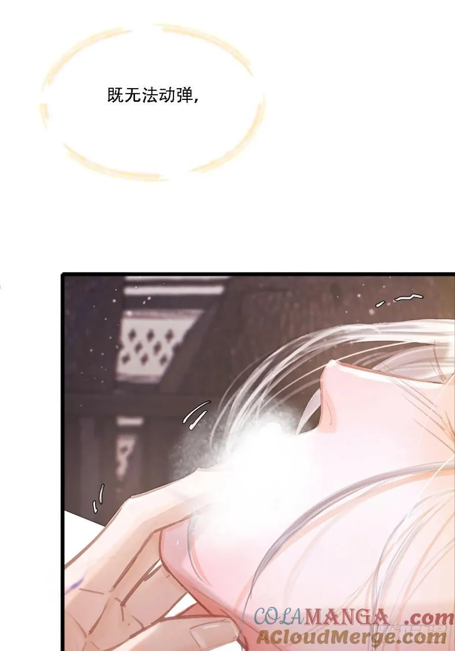 11.我的牡丹花6