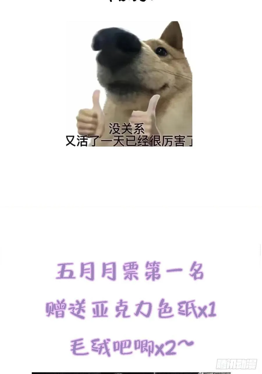 档案小剧场15