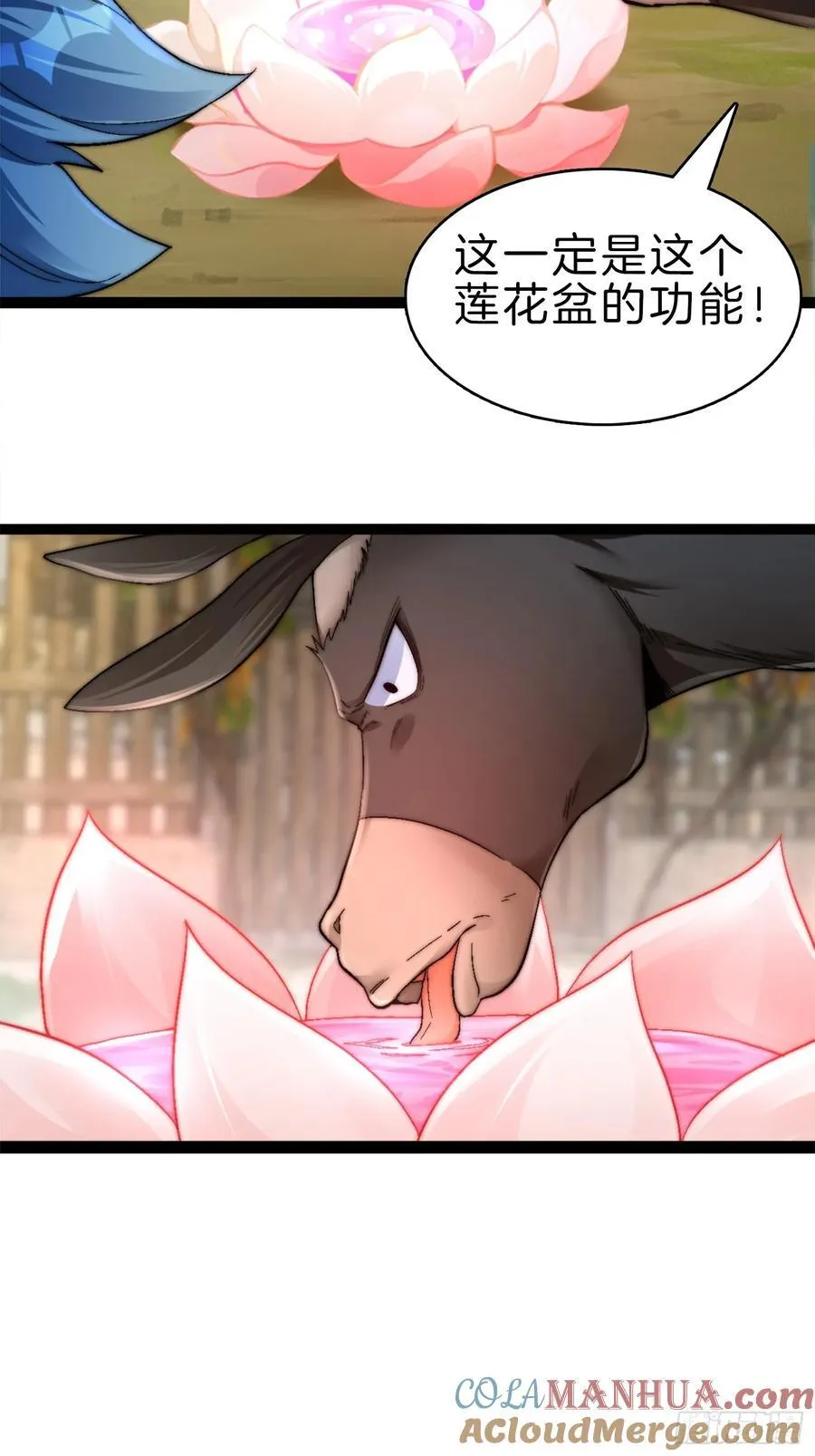 30-二驴变强26