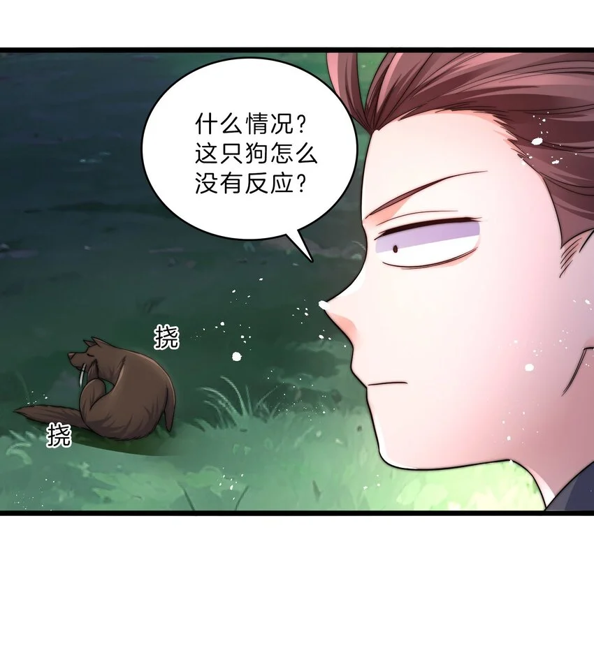 22-打够了吗36