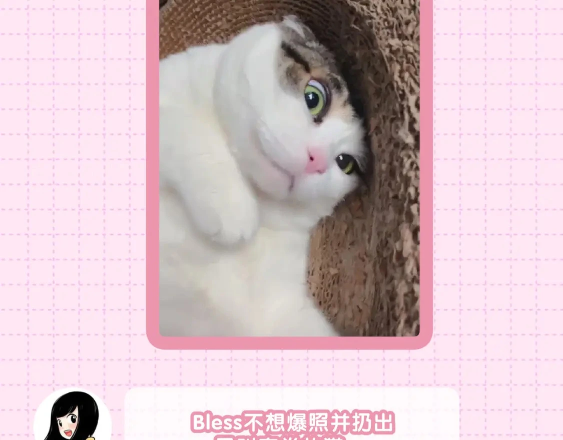 作者茶话会13